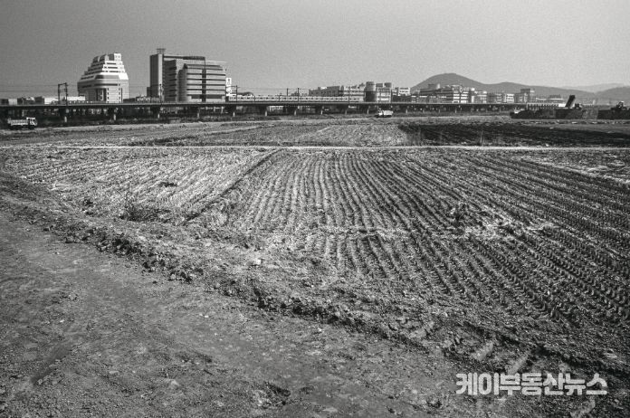 1995년도 고잔뜰 전경, 현재는 고잔신도시가 조성되어 아파트 단지로 변모했다.