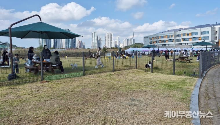 와스타디움 중앙광장 유휴부지에 조성된 반려견 놀이터에서 시민들이 반려견과 함께 시간을 보내고 있다. (사진=안산도시공사 제공)