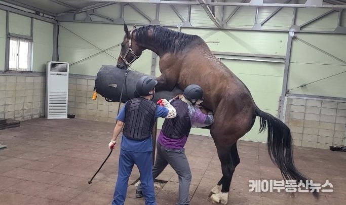 거점번식 지원사업 사진