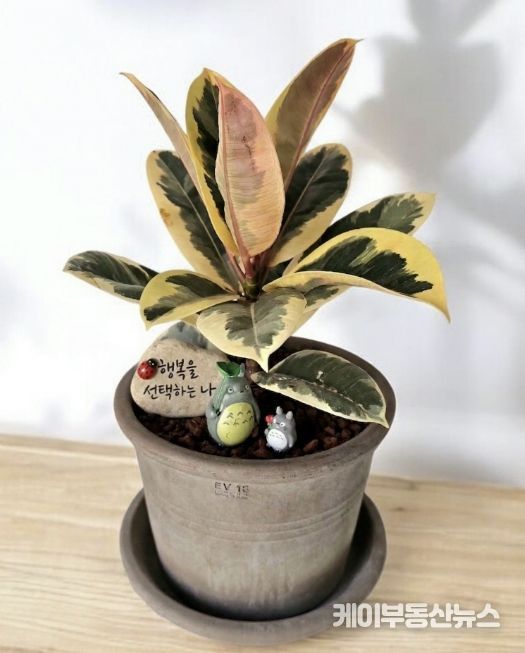 현재 성찰그룹의 완성품