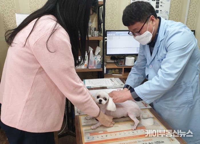 의정부시, 2026년 상반기 광견병 예방접종 지원사업 실시