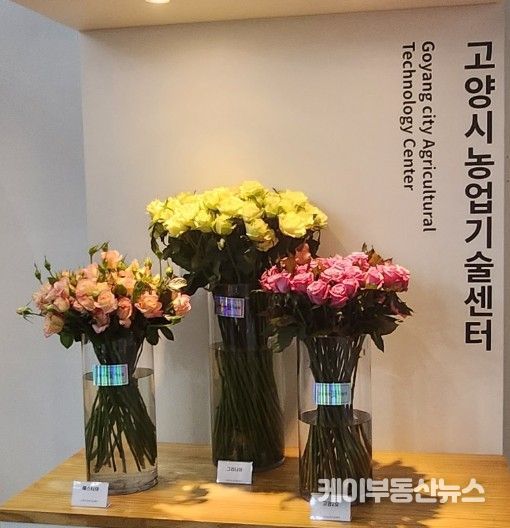 고양시,‘행주한우·장미' 특화농산물 지정